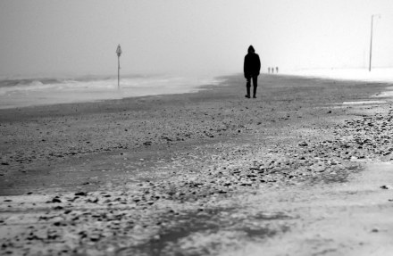 CC by Iko NC-SA 2.0-1