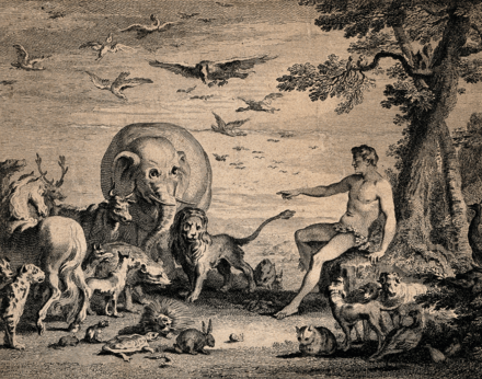 Adam Names the Animals