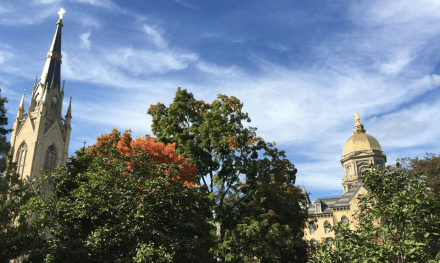 Notre Dame Basilica and Dome
